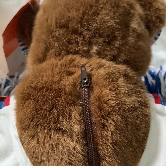 Cheerleader Bear NWT, Pawsenclaws Co., 6-piece outfit, Pom Poms & Cheer Necklace - Picture 7 of 15